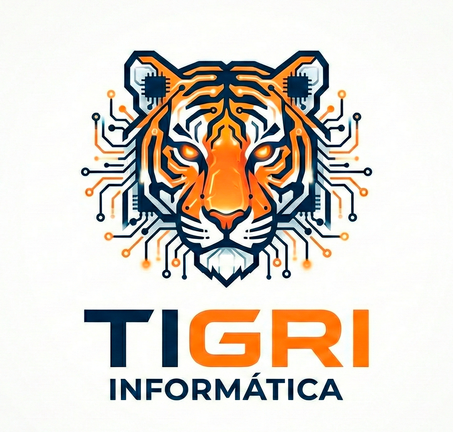 TIGRI Informática